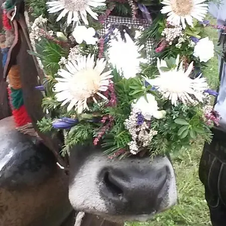 Almstube Apartmán Bad Hindelang