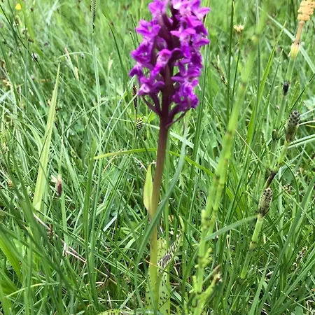 Apartmán Almstube Bad Hindelang