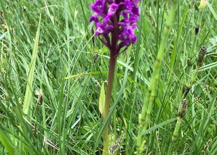 شقة Almstube باد هينديلانغ